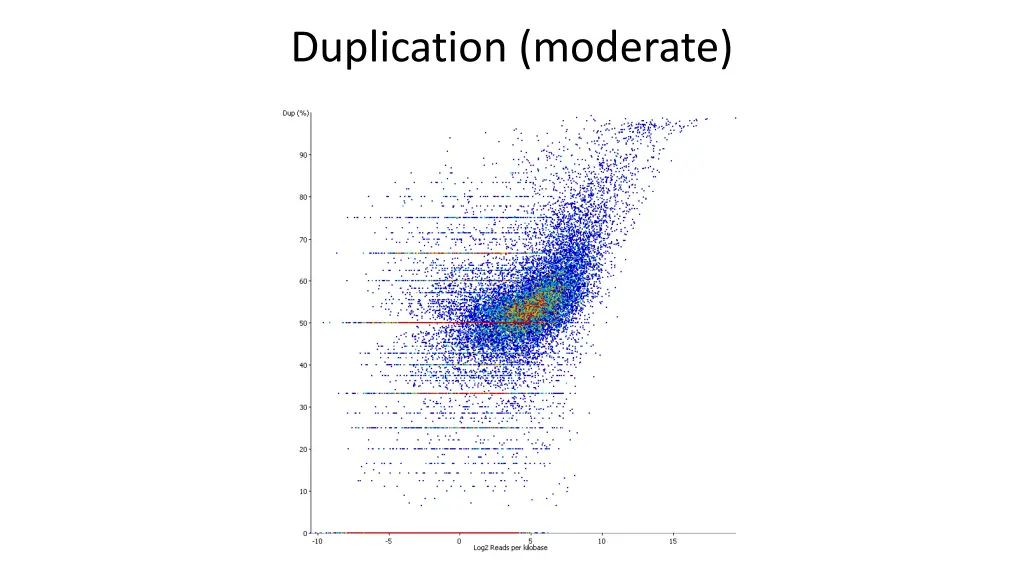 duplication moderate