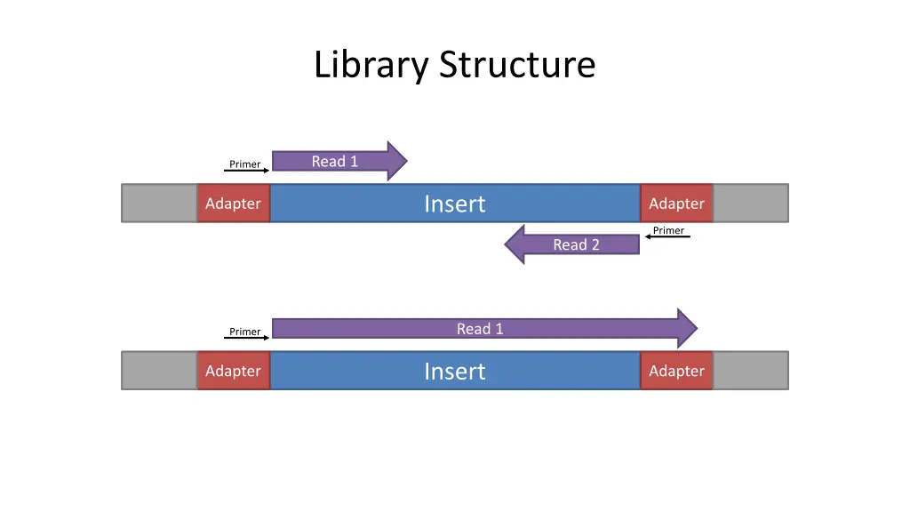 library structure