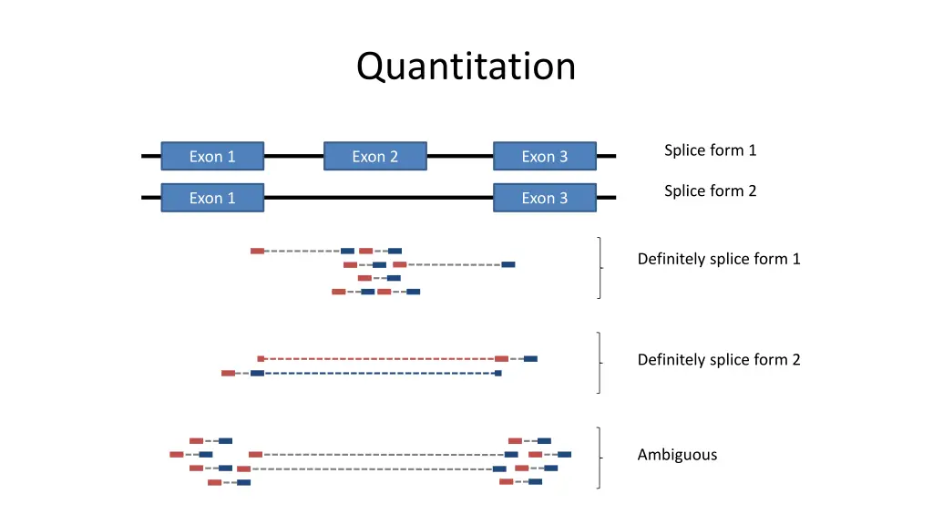 quantitation