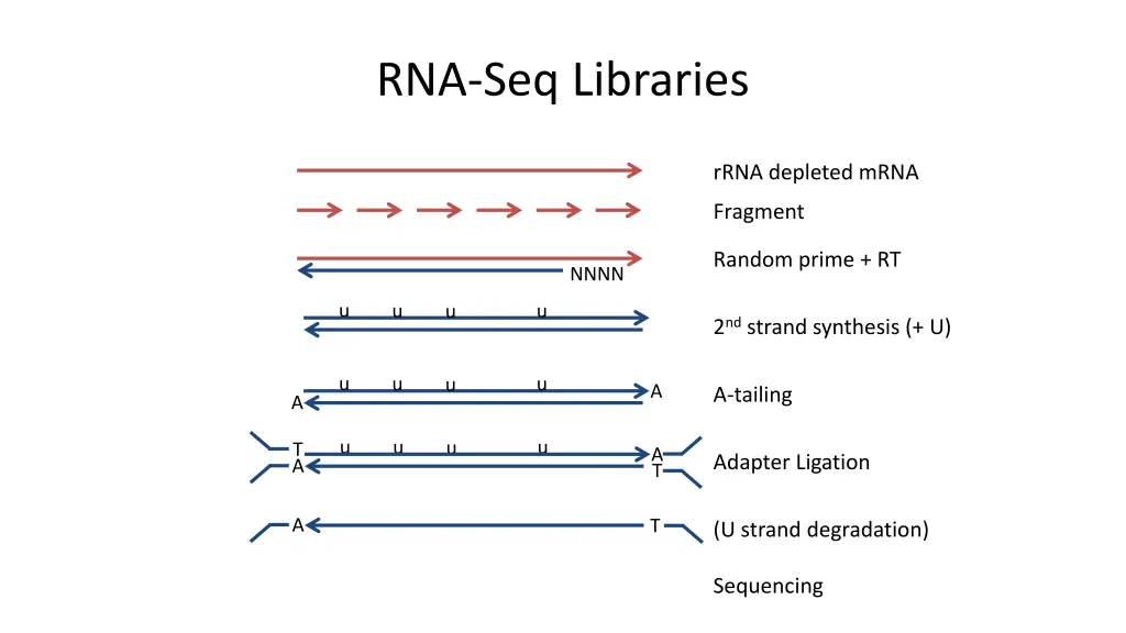 rna seq libraries