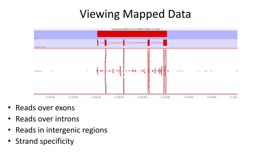 viewing mapped data