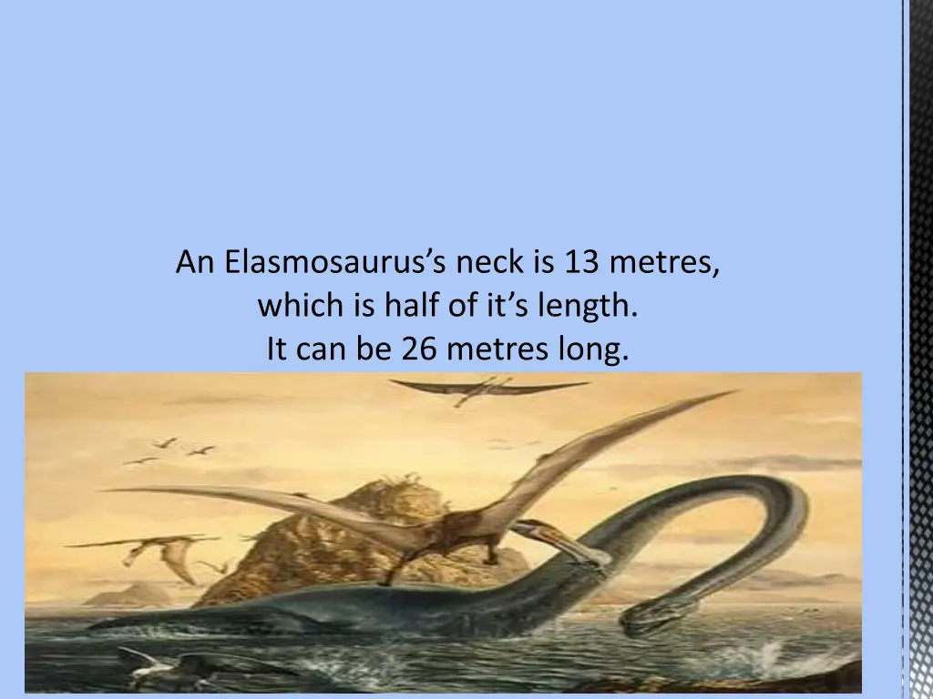 an elasmosaurus s neck is 13 metres which is half