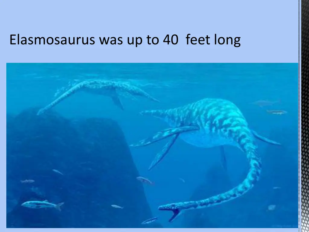 elasmosaurus was up to 40 feet long