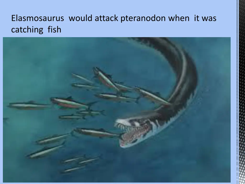 elasmosaurus would attack pteranodon when