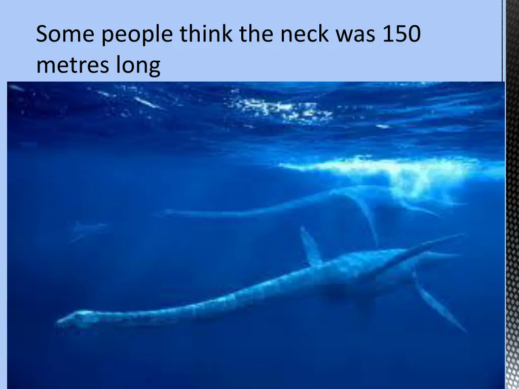 some people think the neck was 150 metres long