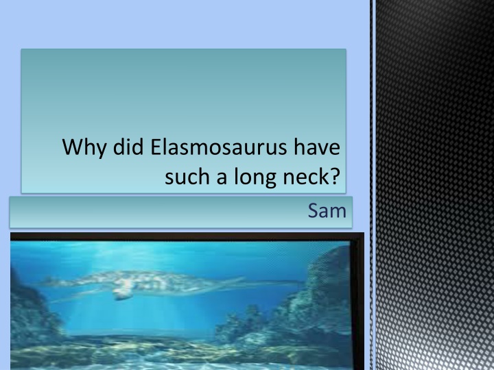 why did elasmosaurus have such a long neck