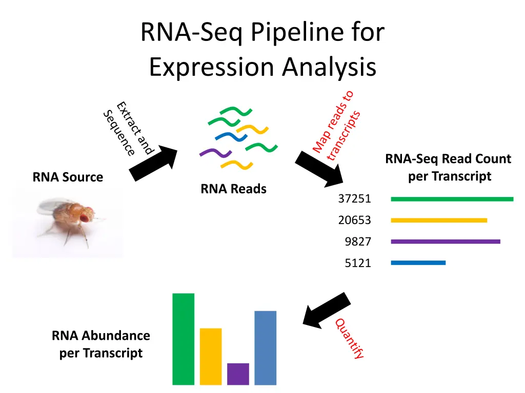 rna seq pipeline for expression analysis