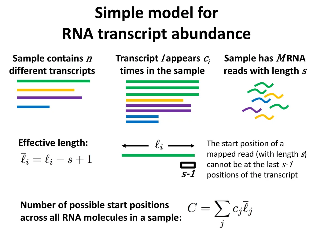 simple model for rna transcript abundance