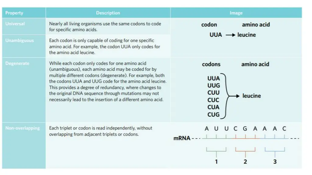 slide8