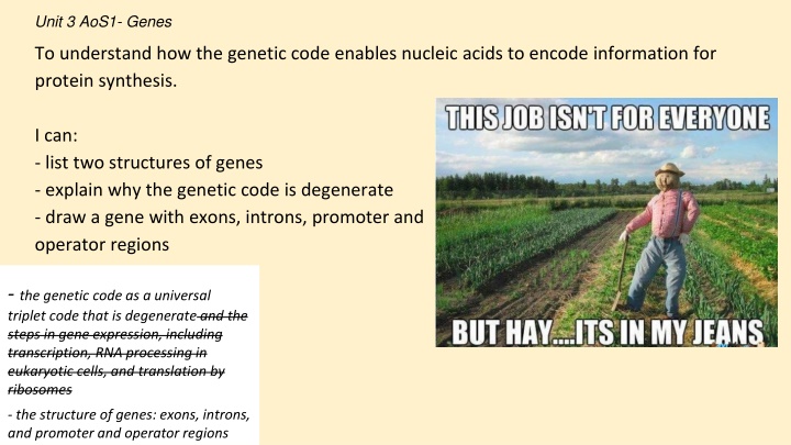 unit 3 aos1 genes