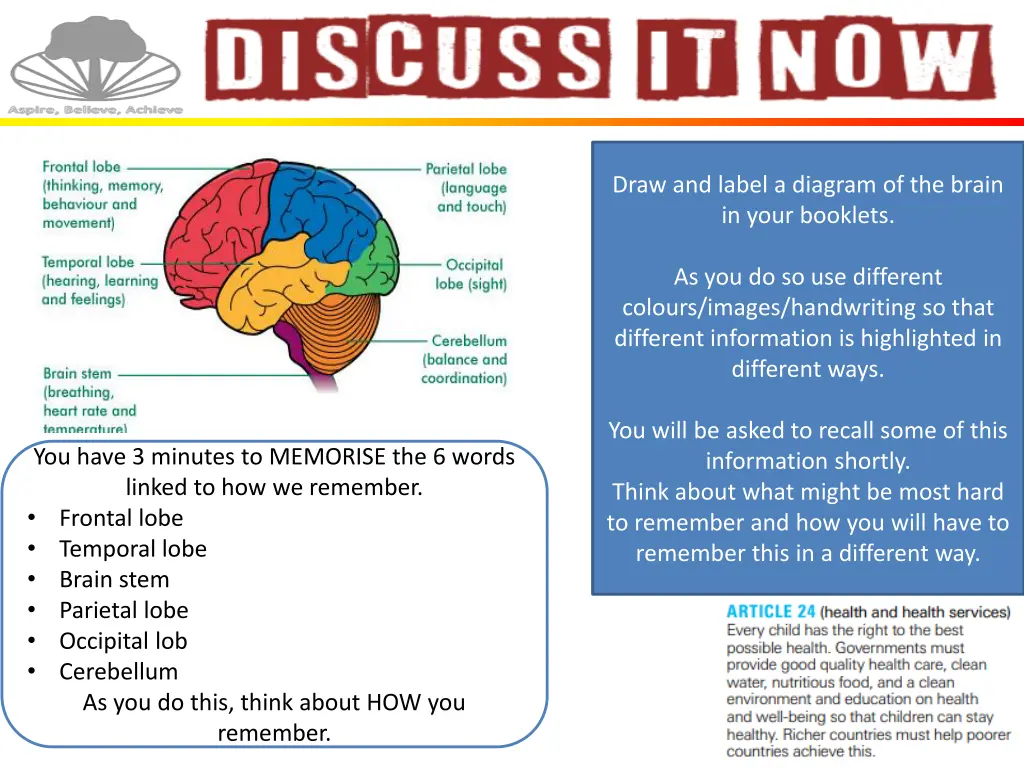 draw and label a diagram of the brain in your