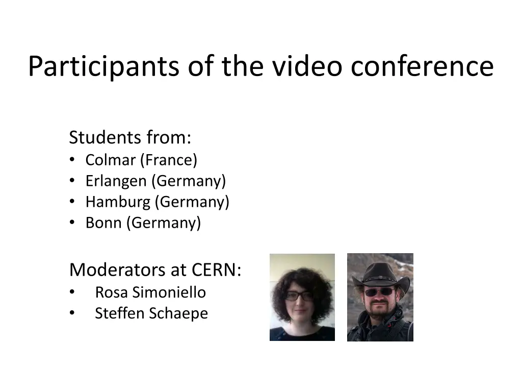 participants of the video conference