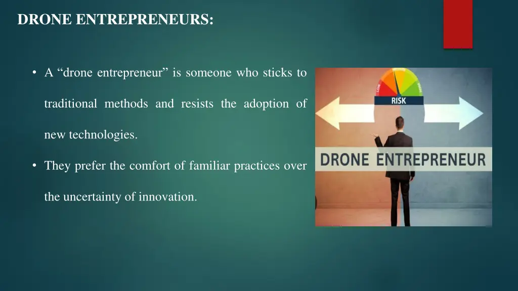 drone entrepreneurs