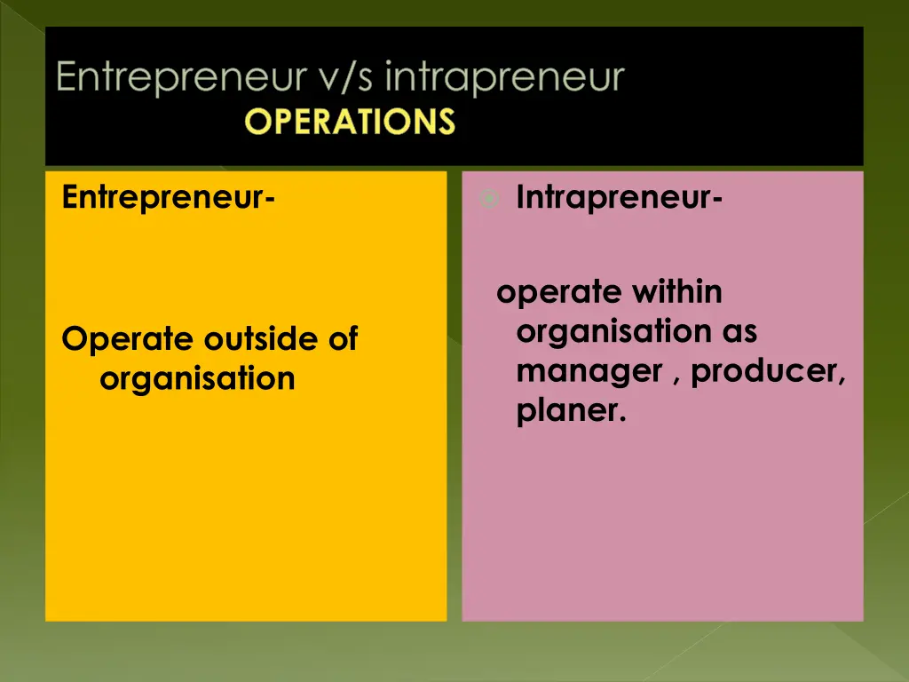 entrepreneur v s intrapreneur operations