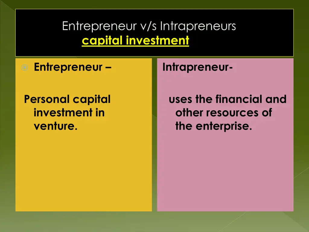 entrepreneur v s intrapreneurs capital investment