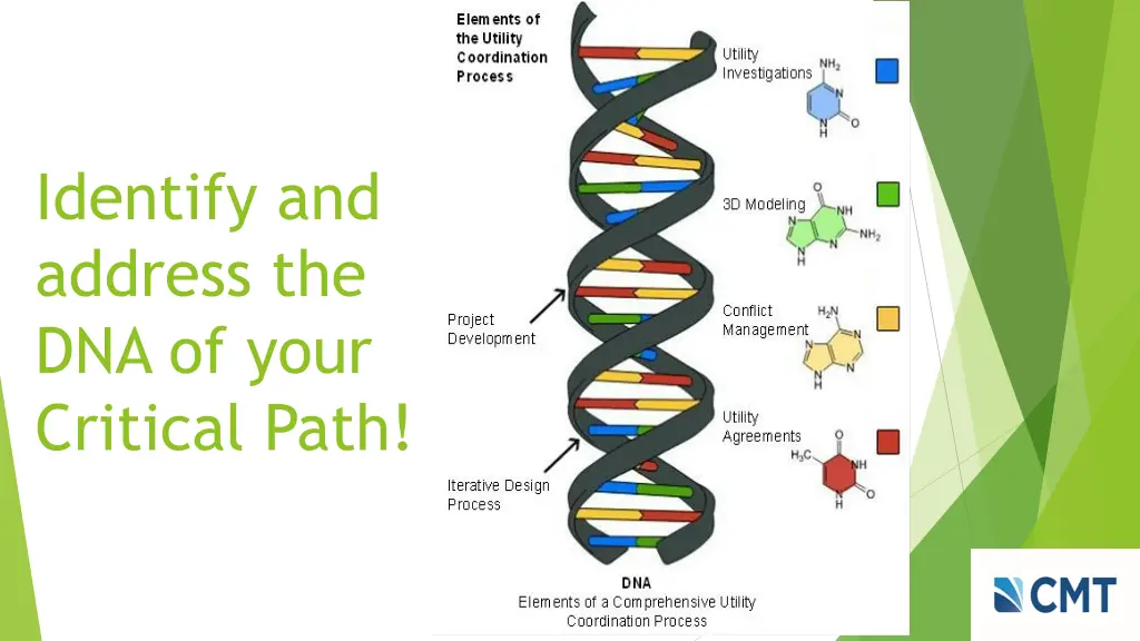 identify and address the dna of your critical path