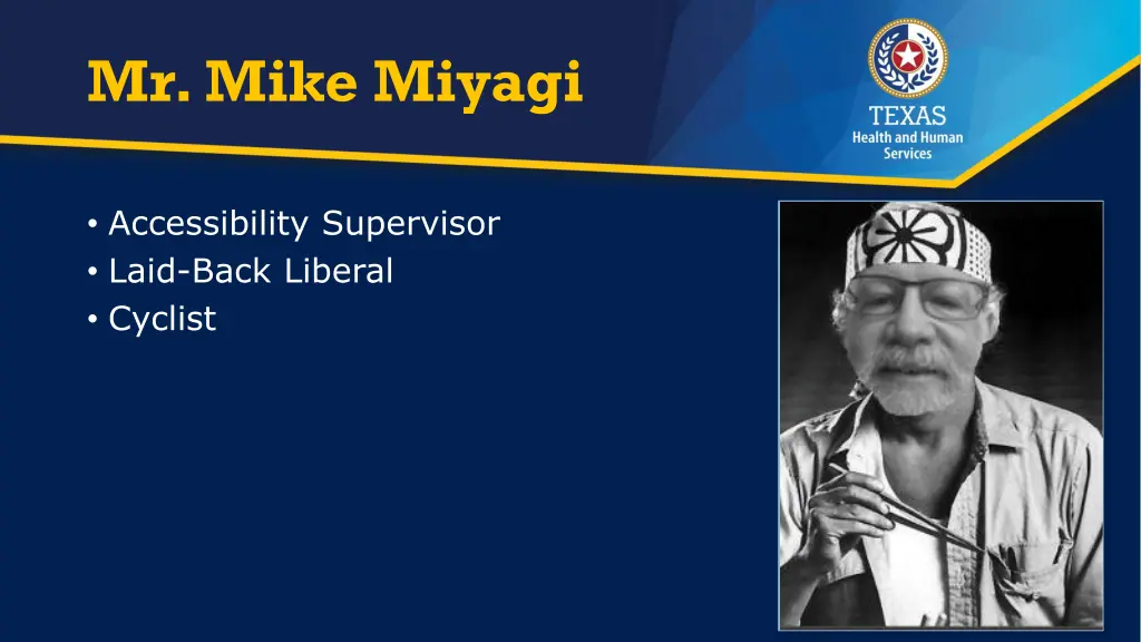 mr mike miyagi