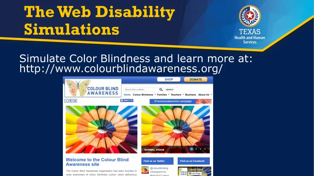 the web disability simulations 1