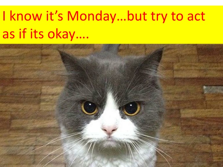 i know it s monday but try to act as if its okay