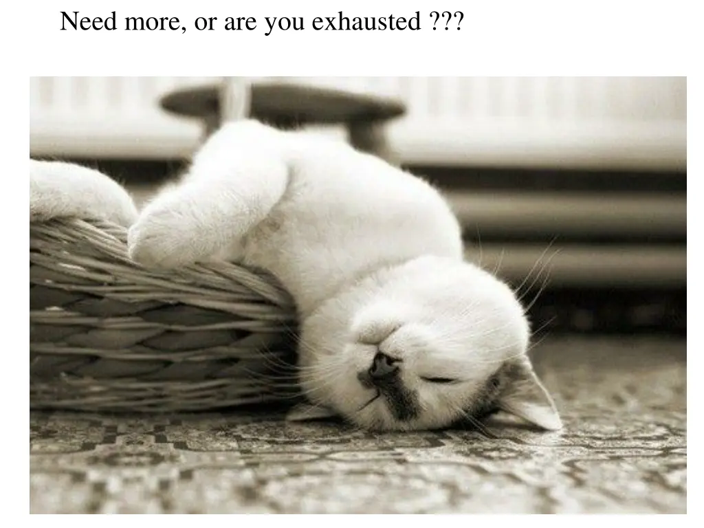 need more or are you exhausted