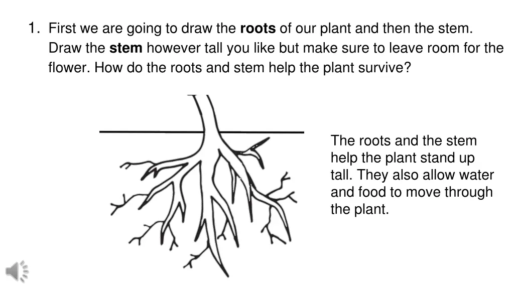 1 first we are going to draw the roots