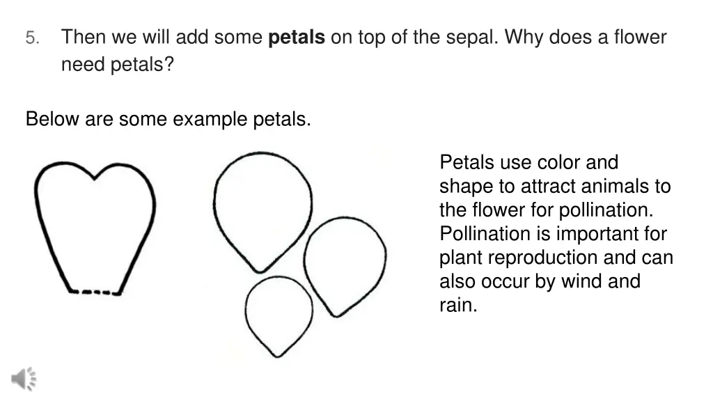 then we will add some petals on top of the sepal