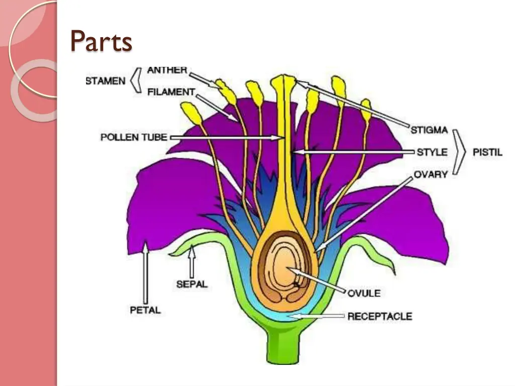 parts