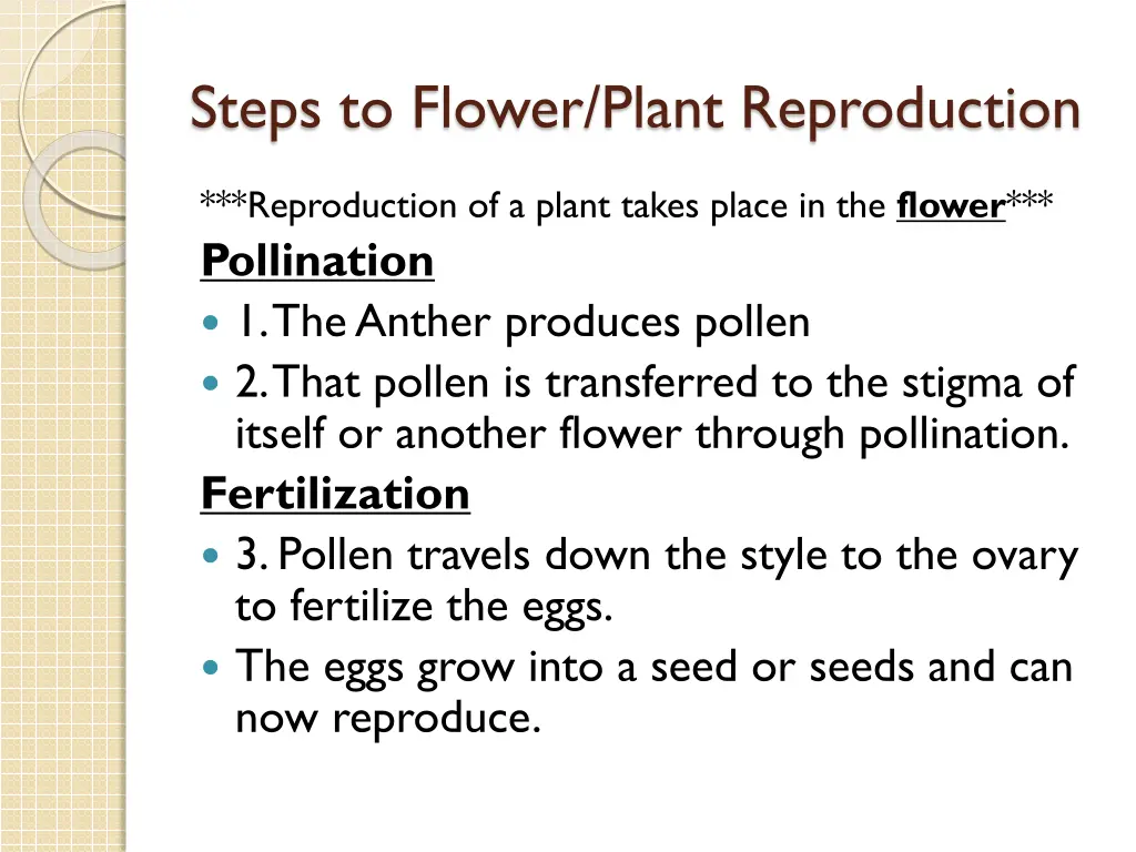 steps to flower plant reproduction