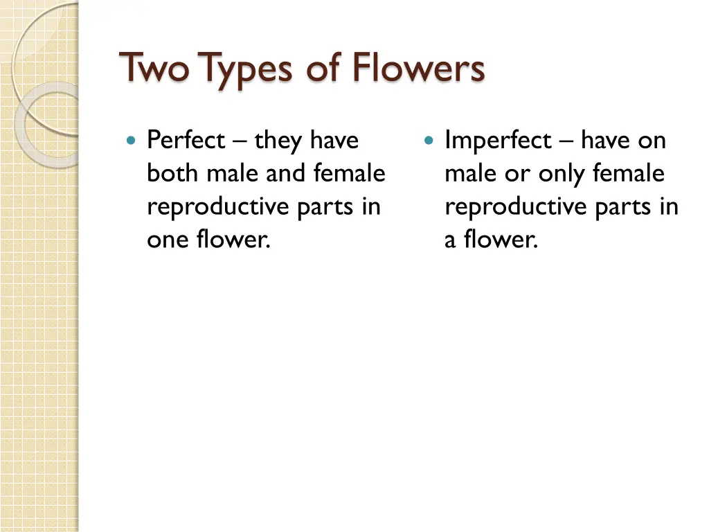 two types of flowers