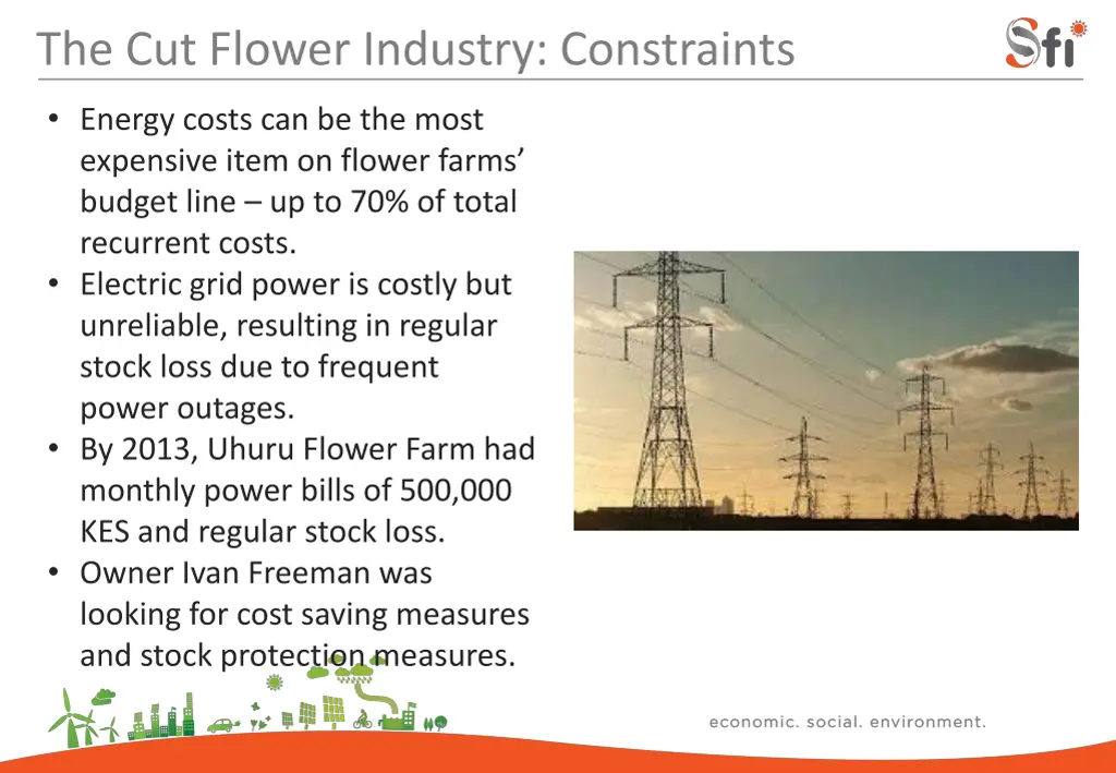 the cut flower industry constraints