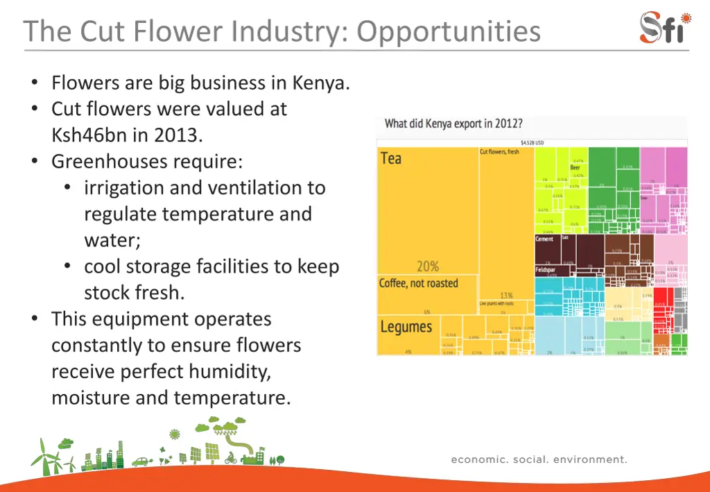 the cut flower industry opportunities