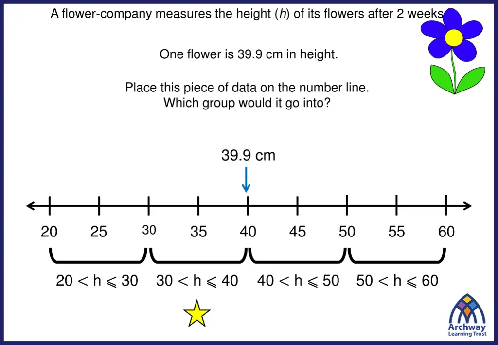 a flower company measures the height 2