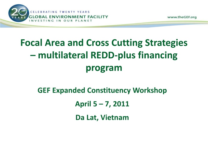 focal area and cross cutting strategies