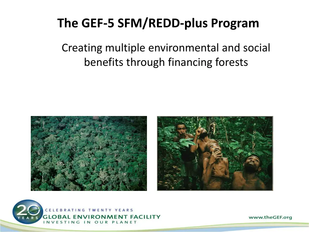 the gef 5 sfm redd plus program