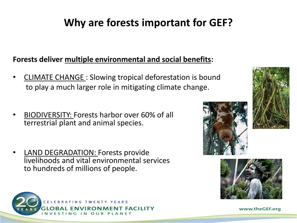 why are forests important for gef