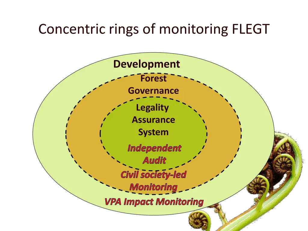 concentric rings of monitoring flegt