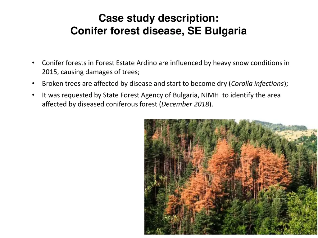 case study description conifer forest disease