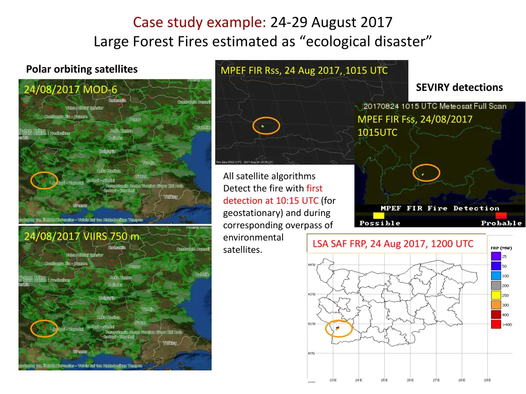 case study example 24 29 august 2017 large forest