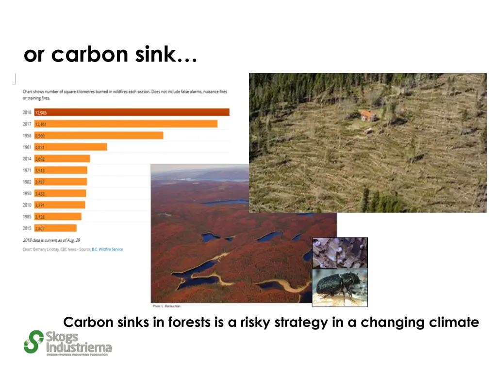 or carbon sink