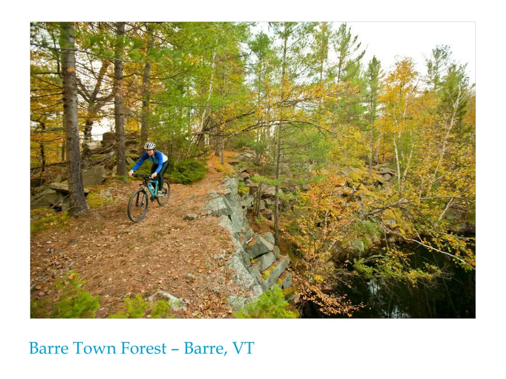 barre town forest barre vt