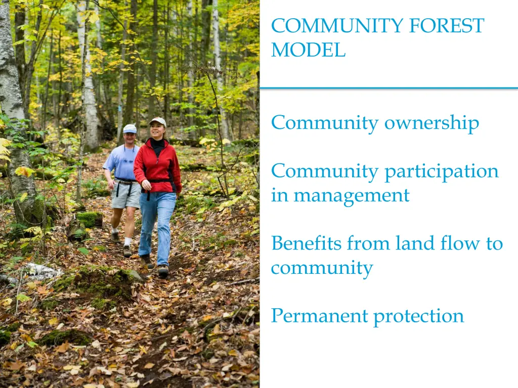 community forest model