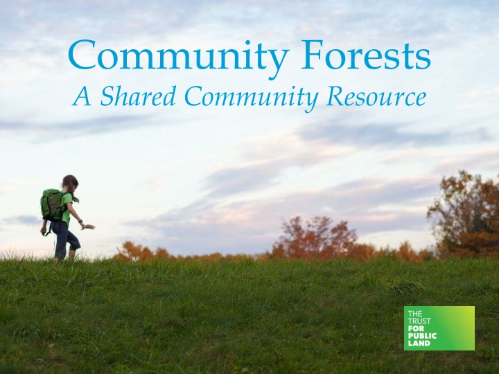 community forests a shared community resource