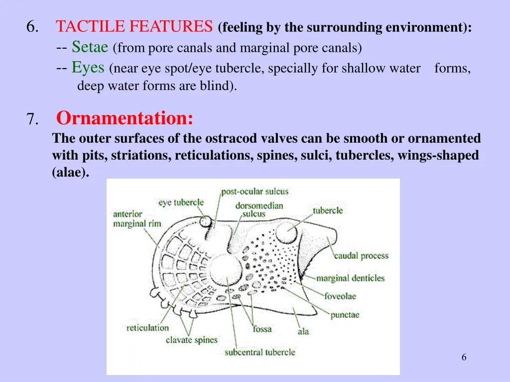 6 tactile features feeling by the surrounding