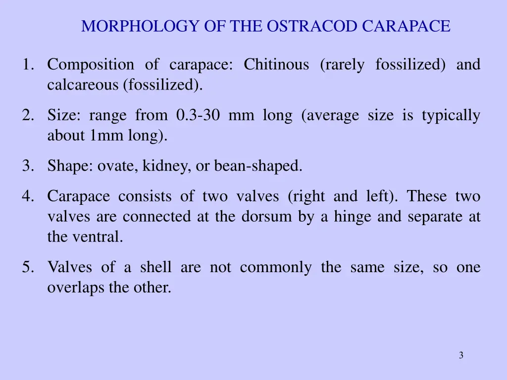 morphology of the ostracod carapace