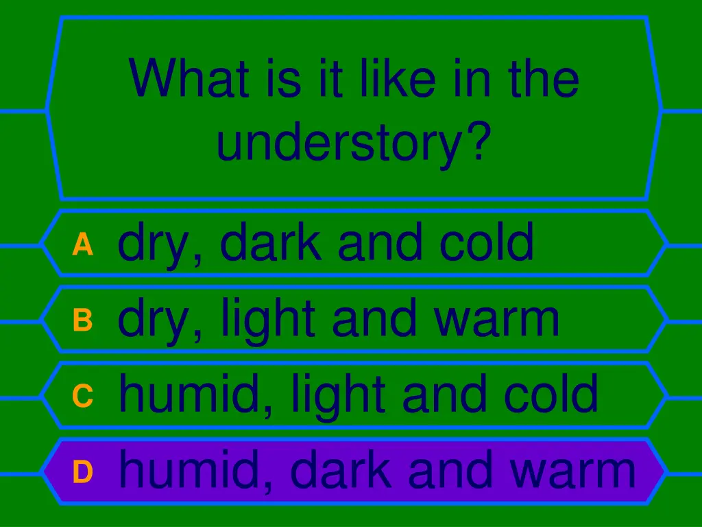 what is it like in the understory 1