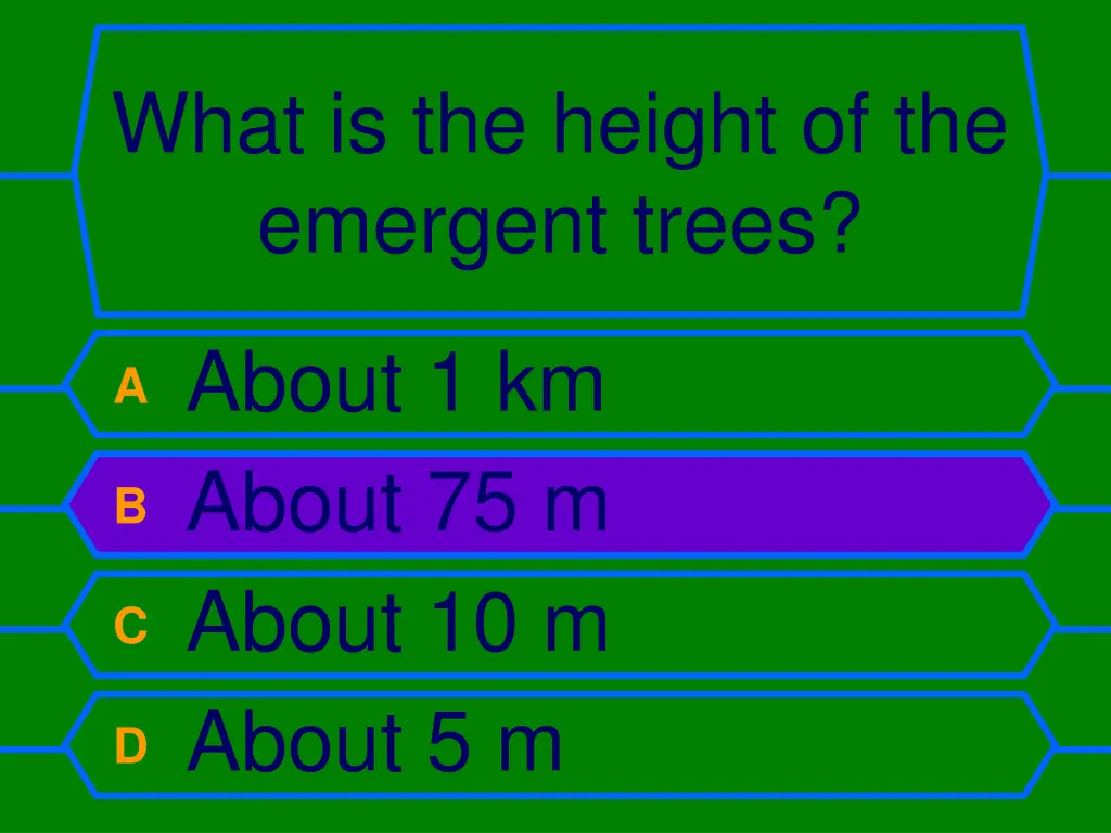 what is the height of the emergent trees 1