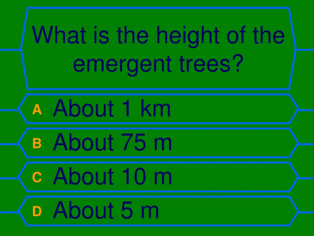 what is the height of the emergent trees