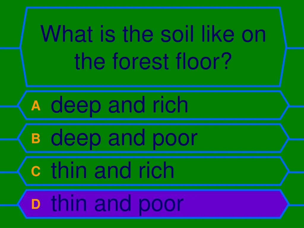 what is the soil like on the forest floor 1