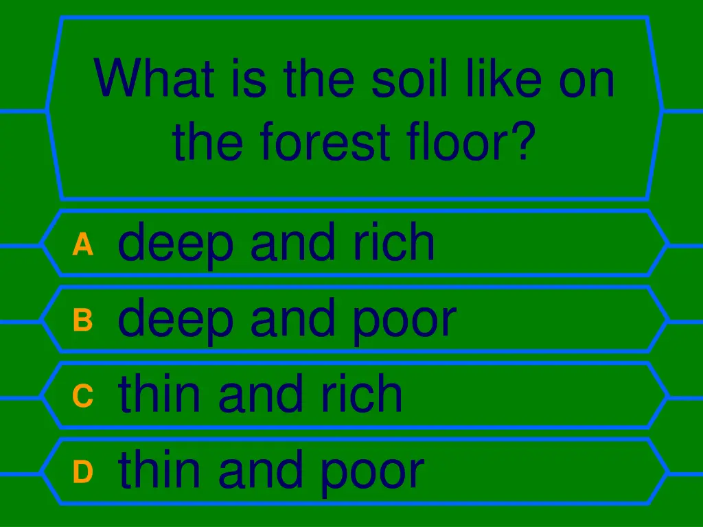 what is the soil like on the forest floor