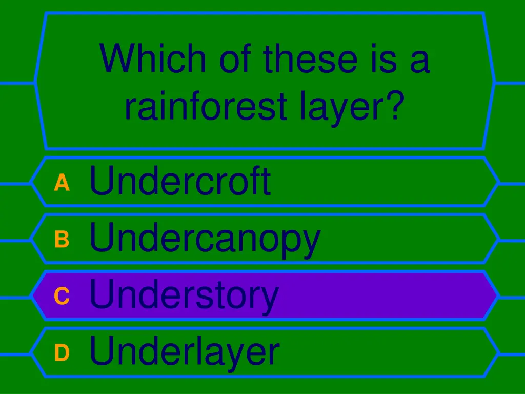 which of these is a rainforest layer 1